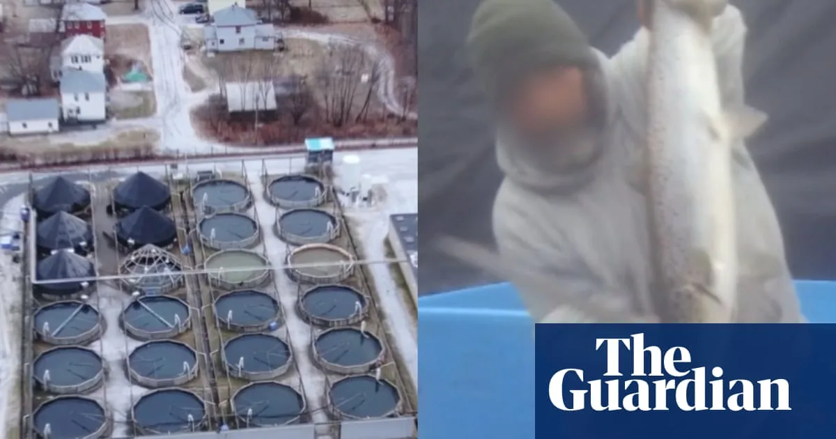 Trump’s ‘Chickenification’ of Fish Sparks Cruelty Row as Hormuz Tensions Push USD to 180k