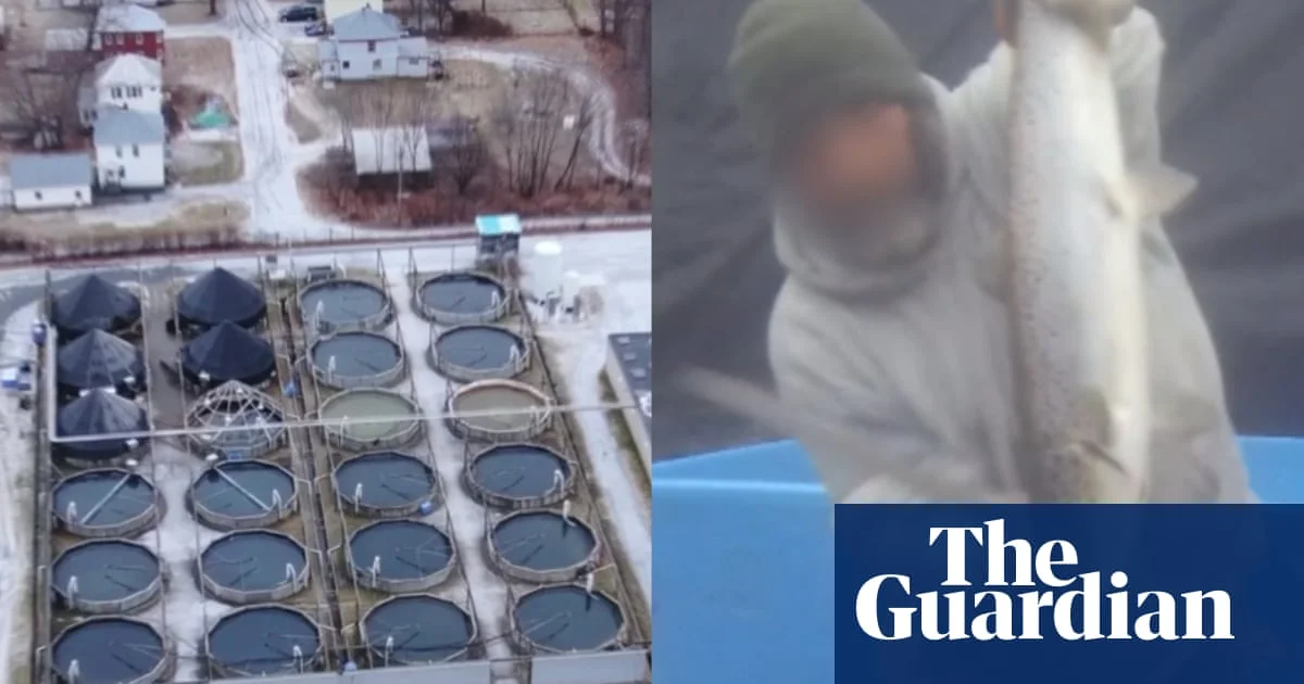 Trump’s ‘Chickenification’ of Fish Sparks Cruelty Row as Hormuz Tensions Push USD to 180k