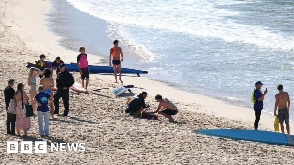 Sydney Shark Attack and Thailand’s Royal Farewell: Toman Rallies as Peace Deal Rumors Swell