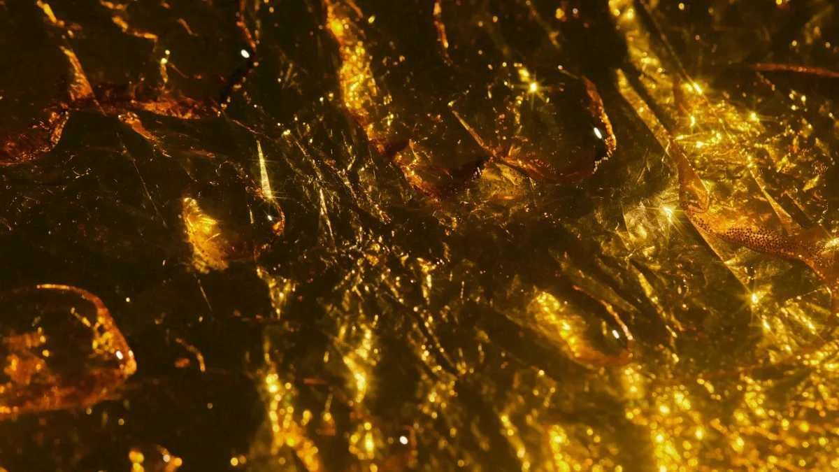 Oil and Gold's Diverging Paths Amid Economic Uncertainty