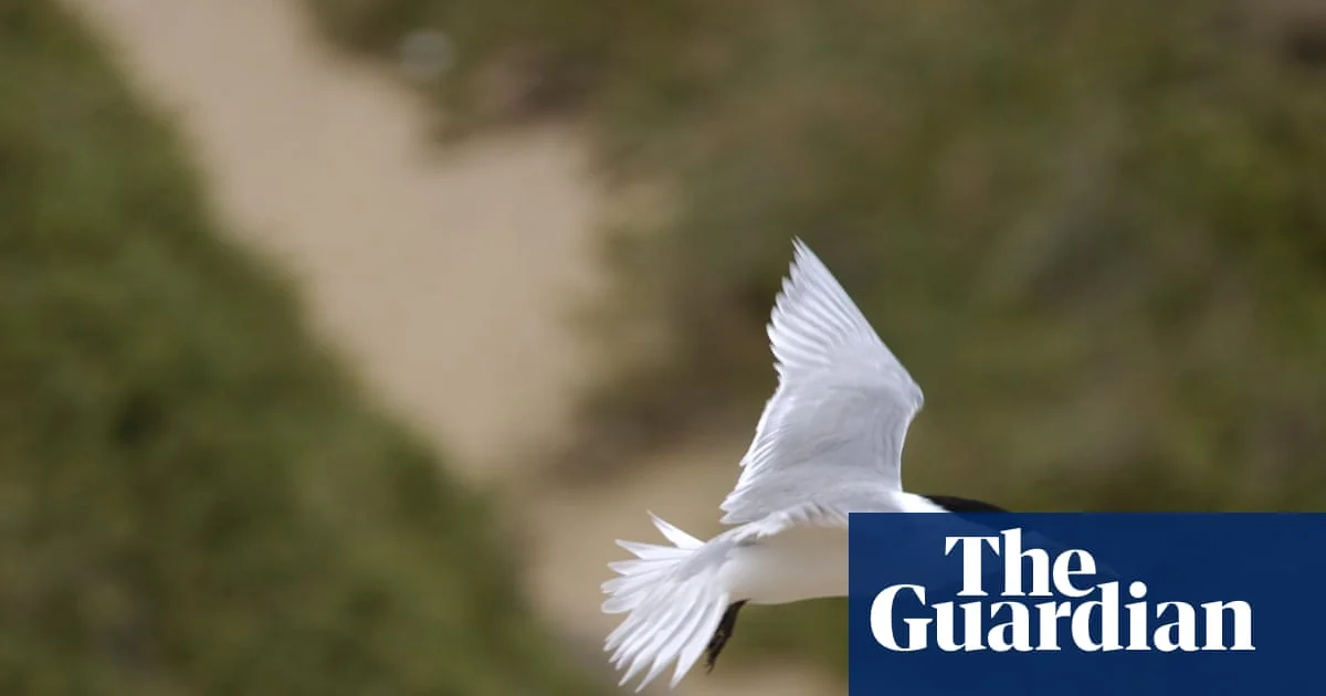 Australia Bird Flu Crisis Deepens as Tehran Rejects Trump’s ‘Negotiation’ Claims