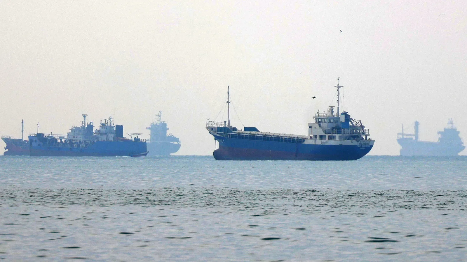 Toman Gains Ground Despite Regional Heat: The Paradox of Iran’s 'Escalation Strategy'