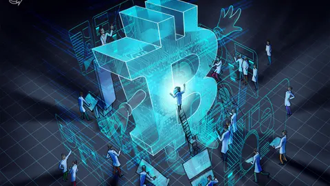 Decoding the 'Evidence Base': Why Data is the New Shield Against Bitcoin Panic and Market FUD