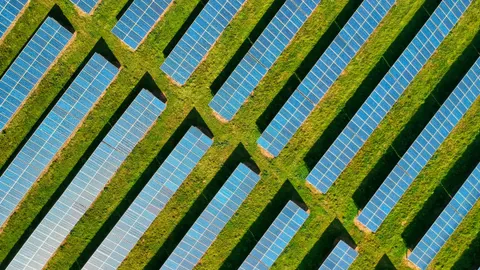 China's Solar Glut Meets the UK's Political Splintering as Growth Stocks Face Momentum Warning