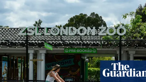 UK Cuts Taxes Amid Iran War Shocks; Japan’s Oil Imports Hit Record Low as Hormuz Chokehold Tightens