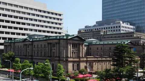 Japan Hikes Rates to 31-Year High; Iran-US Deal Hopes Buoy Markets