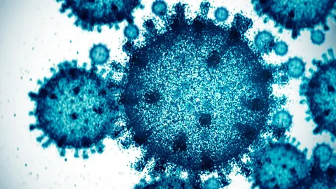 AI-Designed Viruses Spark Bio-Security Fears; Trump AG Nominee Falters as Gold Surges