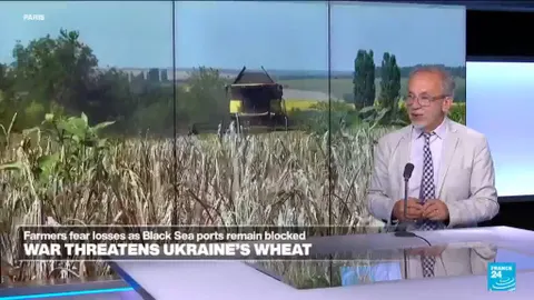 Grain Wars Ignited: Food Price Fears Surge as Ukraine-Russia Attacks Intensify Amid Global Market Shifts