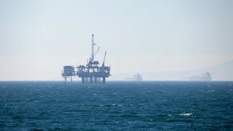 Oil Glut vs. Toman Weakness: Why Gold and USD are Defying Regional Energy Benchmarks