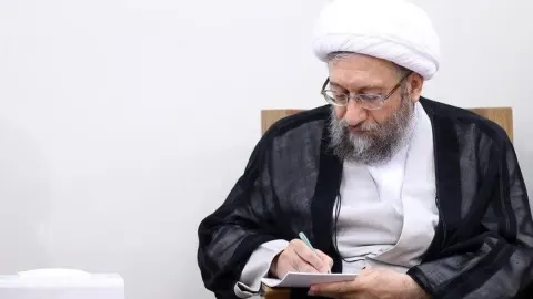 200 Nights of Resilience: Amoli Larijani Praises Hormuz Defense as Shipping Traffic Hits Record Lows