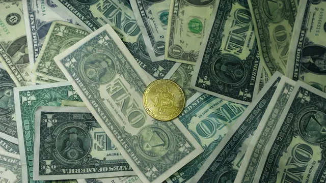 Gold vs. USD: Which Keeps Your Savings Safe in Iran’s Turbulent Market?