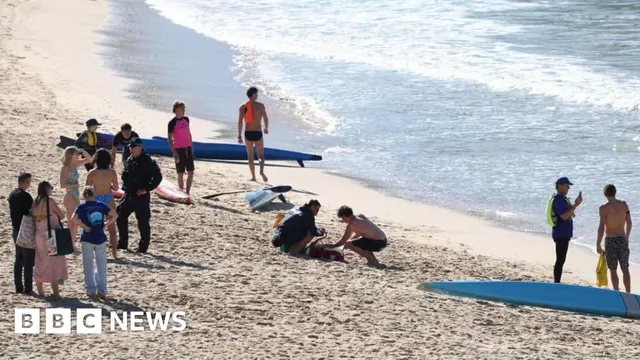 Sydney Shark Attack and Thailand’s Royal Farewell: Toman Rallies as Peace Deal Rumors Swell
