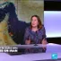 US-Iran Tensions Flare, SpaceX IPO Looms, and Inflation Woes Persist